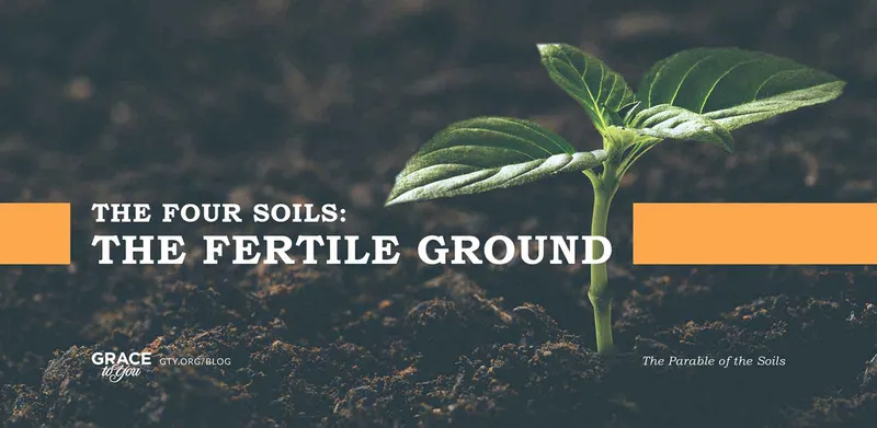 The Fertile Ground