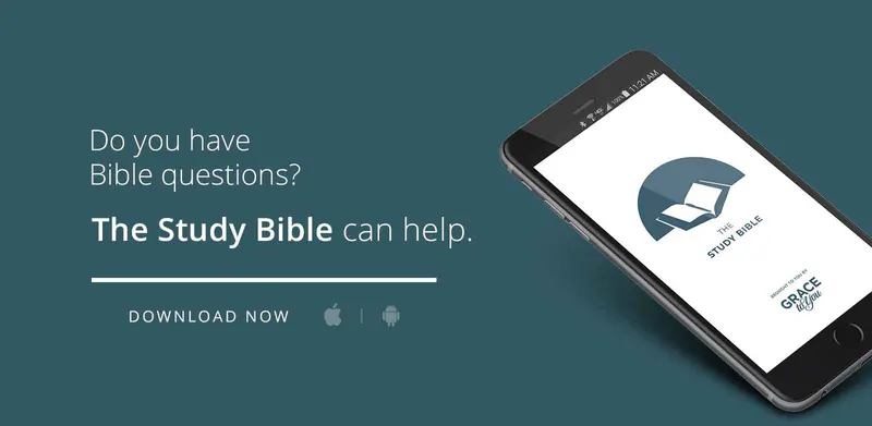 The Study Bible App Logo - Main